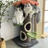 Habillement de chien coin arbre house arbre chat cadre cadre grand trou en peluche