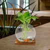 Vasen 2 Sätze Glas Vase Clear Plant kleines Terrarium mit Basis -Wohnkultur