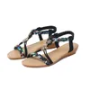 Sandalen vrouwen wiggen Boheemse zomer 2024 bloem non slip strand sandalia's elastische band lage hakken Romeinse schoenen vrouw