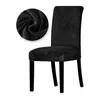 Couvriers de chaise 1/2/4/6 pièces Real Velvet Fabet Super Soft Cover Luxurious Office Soutr Cas Tetch pour salle à manger El