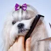 Hundkläder 16 PCS Halloween Elastic Band huvudbonad Girls 'Accessories valp husdjursmaterial