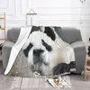 Couvertures Fubao Panda Fu Bao Animal Couvrette à couverture Plaid Flanelle Fleece Fleece For Care Care Machine Room Decor