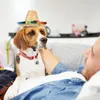 Vestuário para cães 2 PCs Pet Chand Decorations Puppy para cães usarem chapéus de palha gatos chapéus animais de estimação