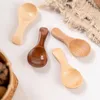 Wegwerp Flatware 3 PCS TEA SPOONS HOUT Small Scoops Mini kruiden houten koffiebenodigdheden kruiden kortgreep draagbaar