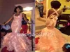 Charmiga ruffles Train Sexiga sjöjungfruklänningar Evening Party Wear Blush Pink Lace Organza Halter Backless Trumpet Prom Dresses7201320