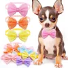 Appareils pour chiens 10pcs toiletage animal papillon