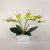 Dekoratif Çiçekler Yapay Bitkiler Phalaenopsis Bonsai saksı ofis masaüstü süsleri yatak odası ev dekor