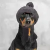 Cappello invernale dell'abbigliamento per cani con sciarpa calda da maglia