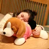 1pc 40/60/80cm sevimli beagles peluş oyuncaklar yumuşak doldurulmuş hayvan köpek bebekleri yastık uyuyan plushie arkadaş çocuklar için bebek 240402