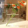 Vases acrylique Vase Vase Vase mignon Libris Decor pour arrangement floral Maison maîtresse