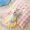 Hundekleidung Herbst Herbst warmer Welpe Katze Kleid Rock Süße Haustier Prinzessin Kleider für kleine Hunde Haustiere Kleidung Honden Kleding Maskottchen Kleidung