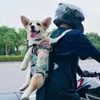 Transportador de cães 1pc Bolsa de estimação durável para viajar confortável na moda com redução de ansiedade de cordão ajustável