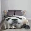 Coperte Fubao Panda Fu Bao Animal Planello Ploid Flance Fleece Throw for Easy Care Machine Room Decor