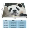 Coperte Fubao Panda Fu Bao Animal Planello Ploid Flance Fleece Throw for Easy Care Machine Room Decor