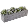 Decoratieve bloemen Garden kunstmatige plant met gestructureerde betonplanter groen