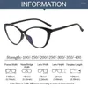 Sunglasses Fashion Anti-Blue Light Glasses High-definition Eyeglasses Vintage Large Eyewear Frame Computer Goggles