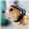 Appareils pour chiens Sécurité dure Hardhat pour animaux