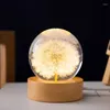 Figuras decorativas Bola de cristal de dente de leão 3D 5cm 6cm Luminous Immortality Flor Gift Wood Stand Base