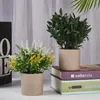 Flores decorativas Simulação Planta verde em vaso de decoração Plantas de mesa de flor sala de estar interna pequena