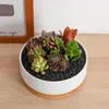 Decorative Figurines Simple And Elegant Design Oval Bamboo Wood Saucer Plant Tray Mini Flower Pot Holder Favorite Succulent