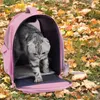 Cat Carriers Carrier Kitten ryggsäck med ventilationsöppningar litet hund husdjur som bär ryggsäckar för katter kattungar som reser camping och vandring