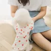 Dog Apparel Summer Leisure Cute Dress Skirt Strawberry Patterns Puppy Cat Princess Thin Breathable Pet Clothes With Bow