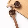 Scolle di caffè Misurazione in legno Misura un cucchiaio cucchiaio in noce nera per fagioli
