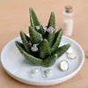 Crochets Ceramic Cactus Bijoux Organisateur Organisateur Bile Blancs Decoratives Boucles d'oreilles Porte-traits Display Rack Birthday Wedding Gift