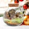 Vases 3 Pcs Micro Landscape Ecological Bottle Decor For Bedroom Moss Plant Sealed Jar Cutainsforbedroom Crafts DIY Empty Glass