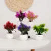 Decorative Flowers Artificial Mini Plants Bonsai Small Simulated Pinecone Pot Fake Office Table Potted Ornaments Garden Home Decor