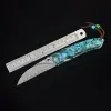 Tools 2pcs Acrylic Abalone Shell Knife Handle Material DIY Pocket Folding Knives Making Scale Grip Patches New Zealand Natural Scarce