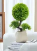 Dekorative Blumen 23-25 cm künstlicher Baum gefälschte Kiefer ohne Topf Plastik Tinsecone Zweig Tropische Pflanzen kleine Pflanze für Home Office Dekor