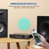 Усилитель Aiyima Audio A09 Hifi Subwoofer усилитель 100W 5,1 Crown Sound Coax Opt Home Theatre Amp Bluetooth 5.0 Aptx HD DSP Декодирование