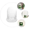 Vasen DIY Glasflasche Landschaftsbehälter Einfache Pflanzenterrarium Mini Vase Desktop Dekorative Pflanzen