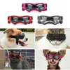 Óculos de vestuário para cães com proteção UV ajustável adequada para áreas de neve pesadas viagens de esqui