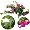 Decorative Flowers 65.5cm Simulation Morning Glory Fake Plant Vine Flower Rattan Plastic Wall Hanging Wedding Party Home Decor