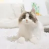 Simülasyon kedi bebek ragdoll meow çocuk kızlar doğum günü hediyesi peluş oyuncak bebek 240325