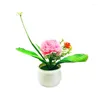 Декоративные цветы искусственные растения Шал Хризантема Бонсай мини -поддельный цветок