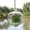 Dekorative Figuren 4pcs/Packdurchmesser 12 cm großer zwiebelförmiger Glas Terrarium Vase Home Dekoration schöne Hochzeitsrequisiten