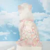 Vêtements pour chiens printemps et été de chat d'été robe de princesse vêtements pour animaux