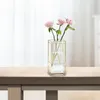 Vases Glass Flower Vase Table Centerpiece Desktop Plant Display