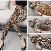 Women's Leggings High Waist Animal Printed Soft Stretchy Women Sexy Leopard Print Pencil Pants Sport Fitness Yoga Gym