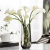 Vases Modern Living Room Table Art Arrangement floral Vase Vase transparente Eau transparente Décoration décoration esthétique décor