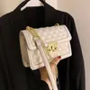 Shoulder Bags Niche Design Lingge Bag Girl 2024 Fashion Chain Messenger Underarm Dual-use Square Width 20cm