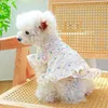 Dog Apparel Pet Dress Eye-catching Summer Pe Cat Fancy