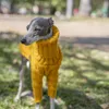 犬のアパレルペット服イタリアリトルリンティホイットビットベリントン冬のハイカラーウォームセーター小さなドーバーマン