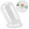 Вазы стеклянный купольный базовый матч Cloche Covers Clear Clore Craft Desktop Desktop Decors Discover Corections Collections шкафы