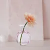 Vases Glass Bud Vase rose pour fleur petite mini
