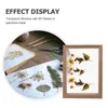 Frames Creative Picture Frame Double Specimen For Pos Display Shelf 6 Inches Flower