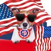 Appareils pour chiens 20/30 / 50ps Small Bowtie pour le 4 juillet